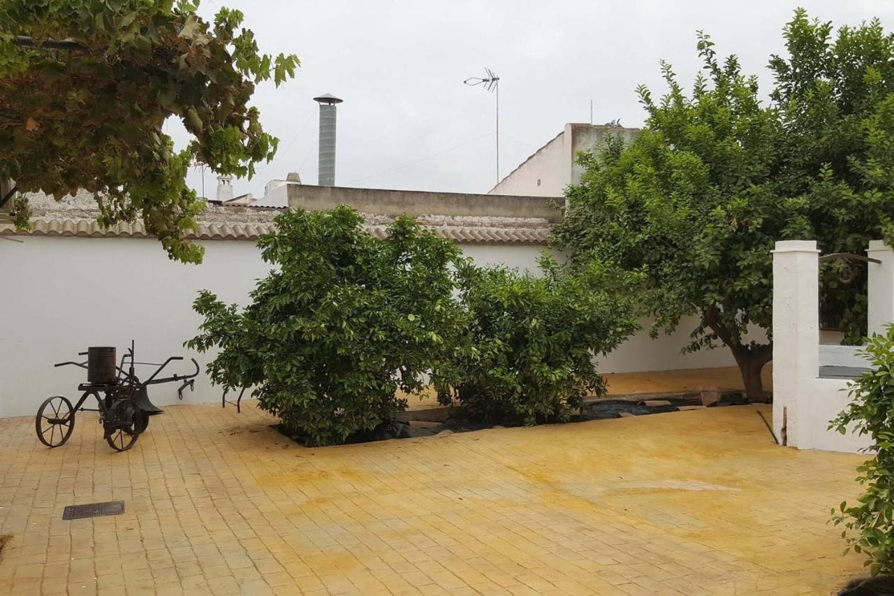 Gran Casa Rural Con Patio En Encinarejo De Cordoba 外观 照片